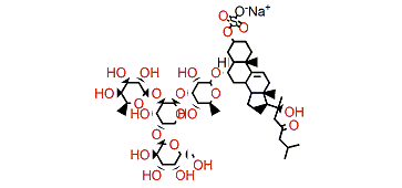 Myxodermoside A